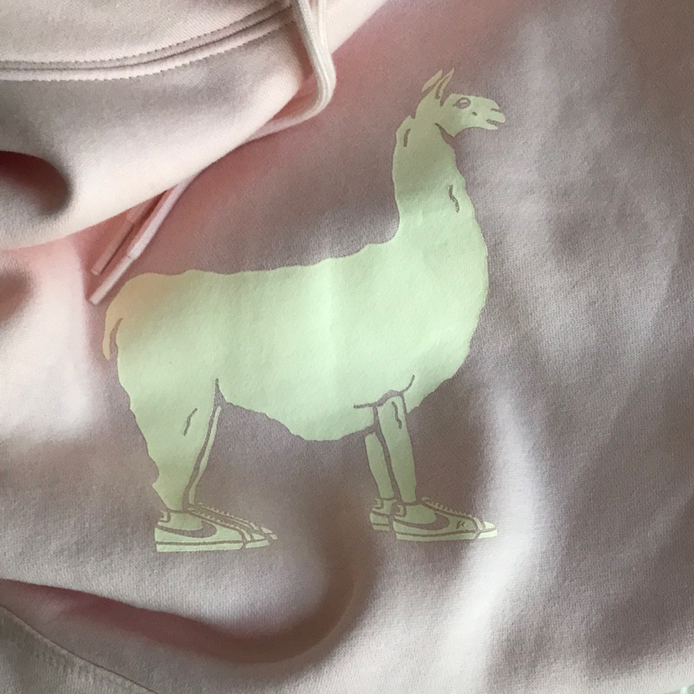 Nike drama llama pink hoodie M